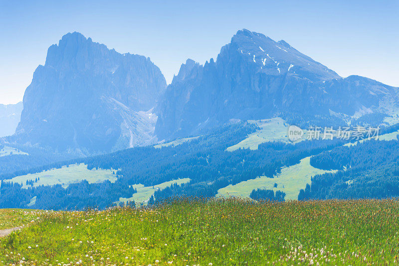 风景的Seiser Alm (Alpe di Siusi在意大利)蓝天山的背景和绿色草地上最大的高山草地之一，与Sassolungo和Sassopiatto山峰的背景。